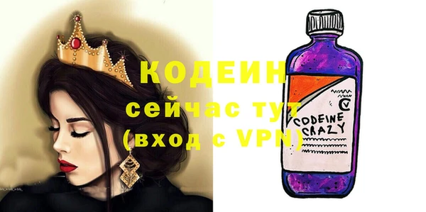 индика Лабытнанги
