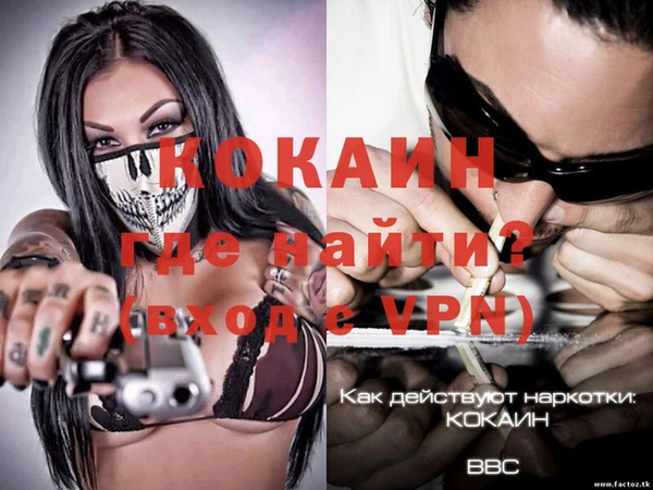 индика Лабытнанги