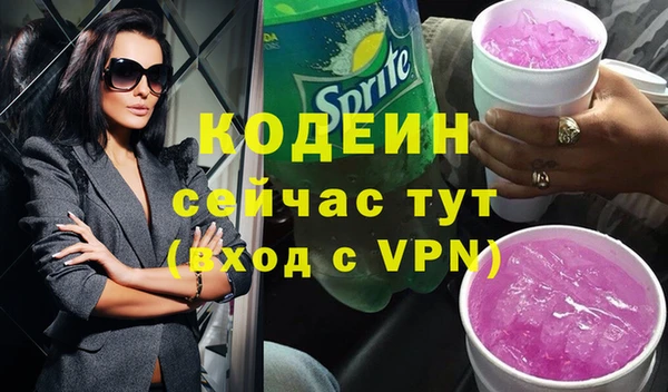 индика Лабытнанги