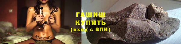 индика Лабытнанги
