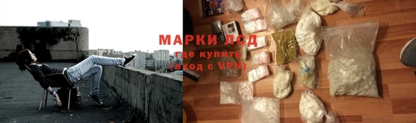 индика Лабытнанги