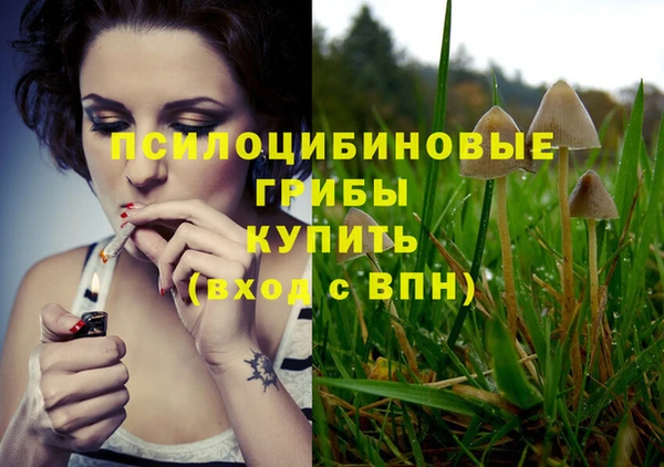 не бодяженный Ладушкин