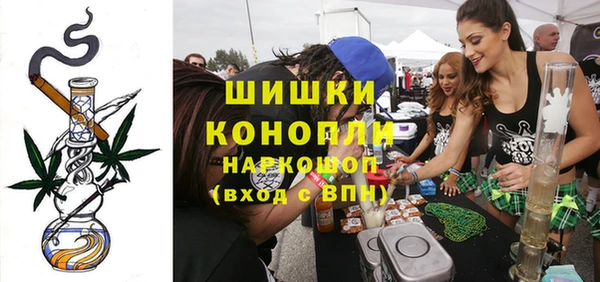 индика Лабытнанги