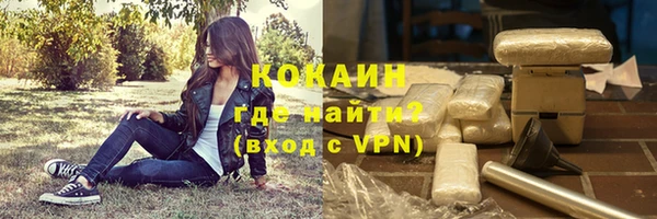 индика Лабытнанги