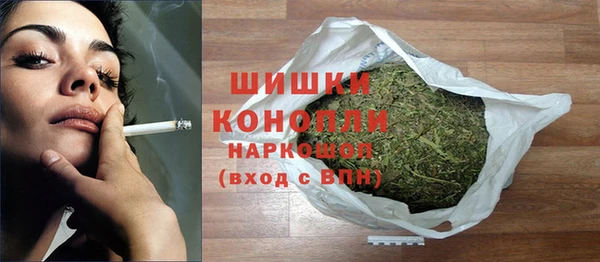 индика Лабытнанги